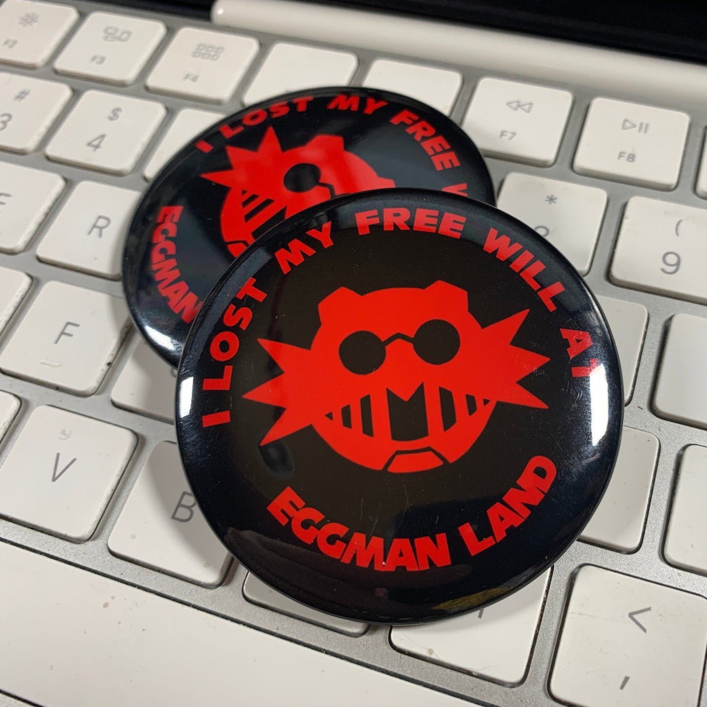 I Lost My Free Will At Eggman Land